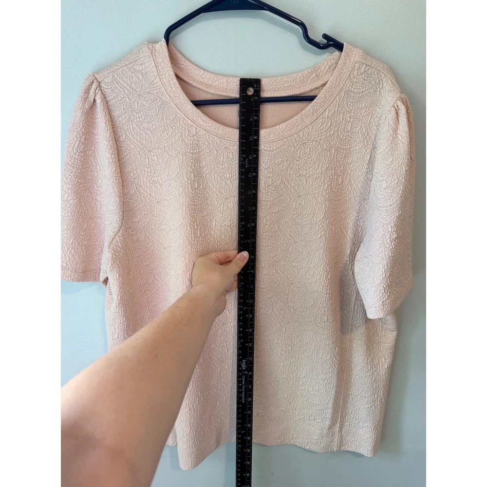 LOFT ann taylor