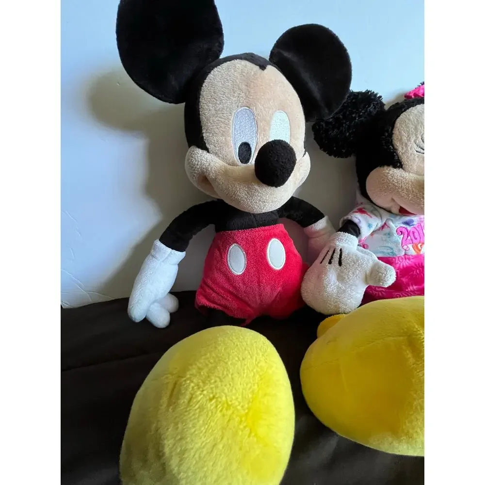 Disney bring home