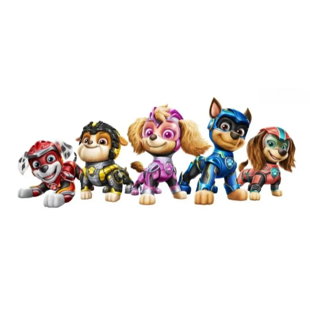 Paw Patrol Annual 2020 Children Puzzle Count Game Picture Story Book Nickelodeon