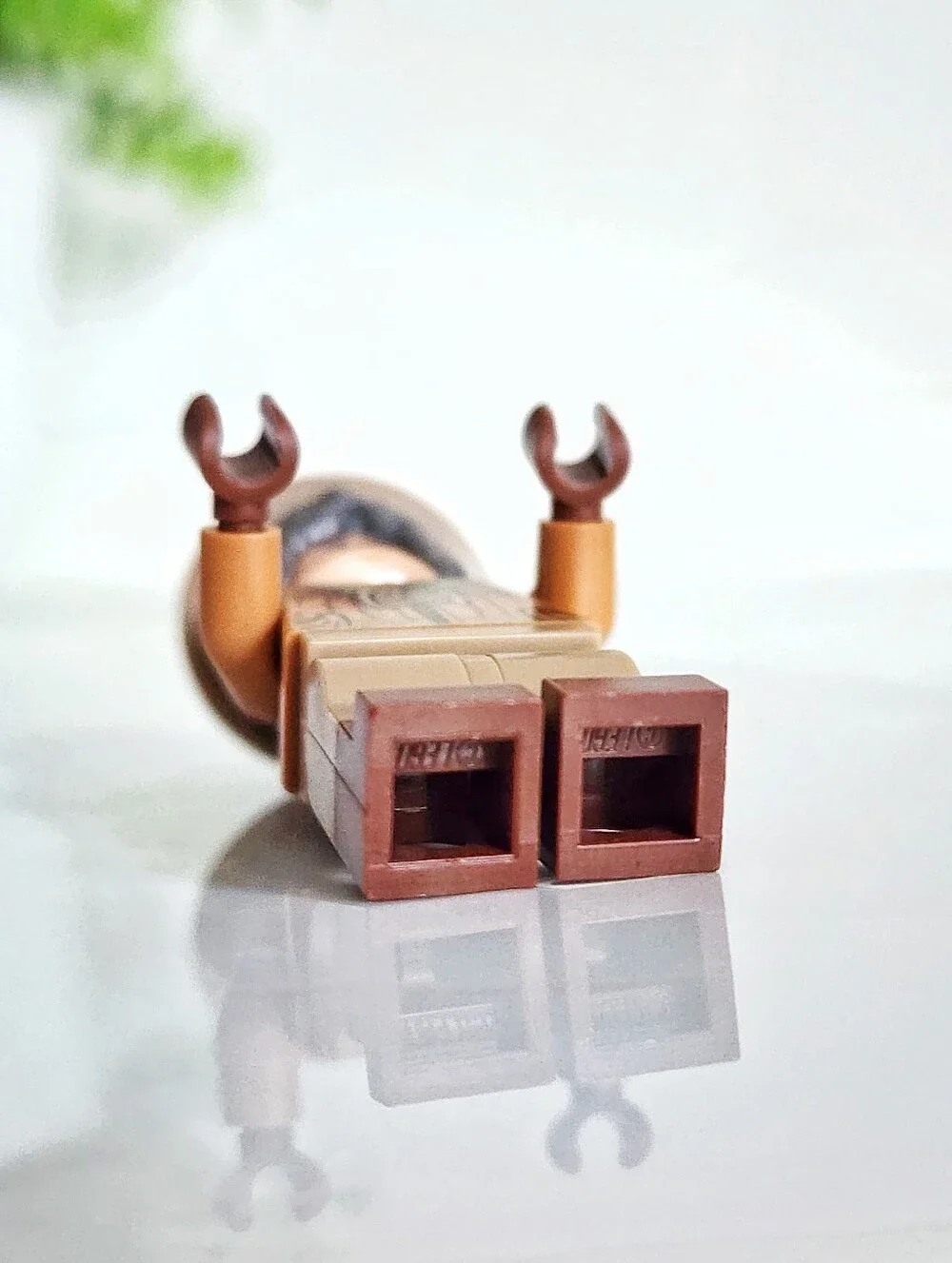 Lego bring herbology
