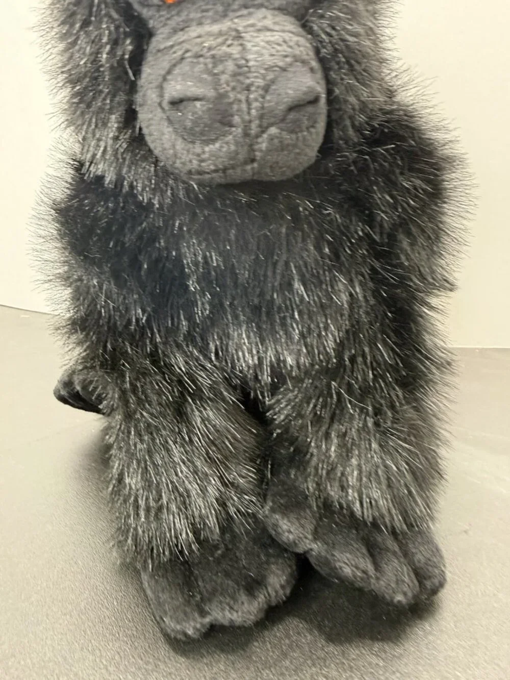 Aurora black gorilla