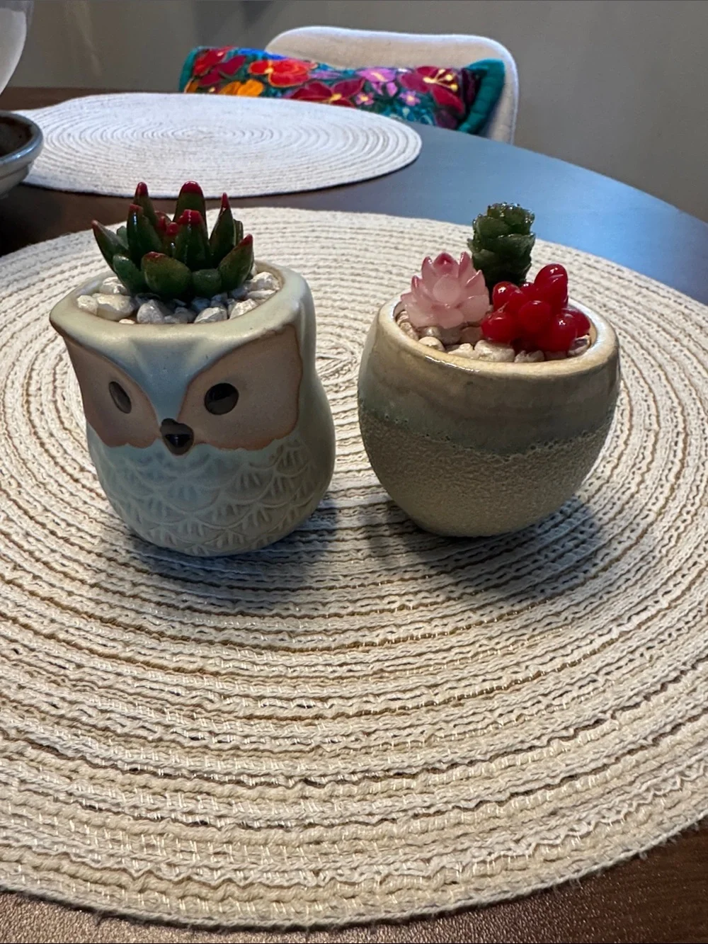 Ceramic Owl & Round Planter Pair with Faux Succulents - Soft Sage and Cream