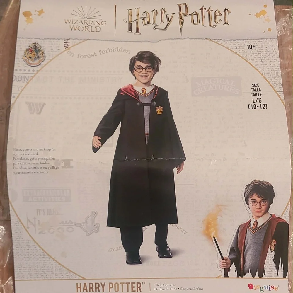 Disguise harry potter