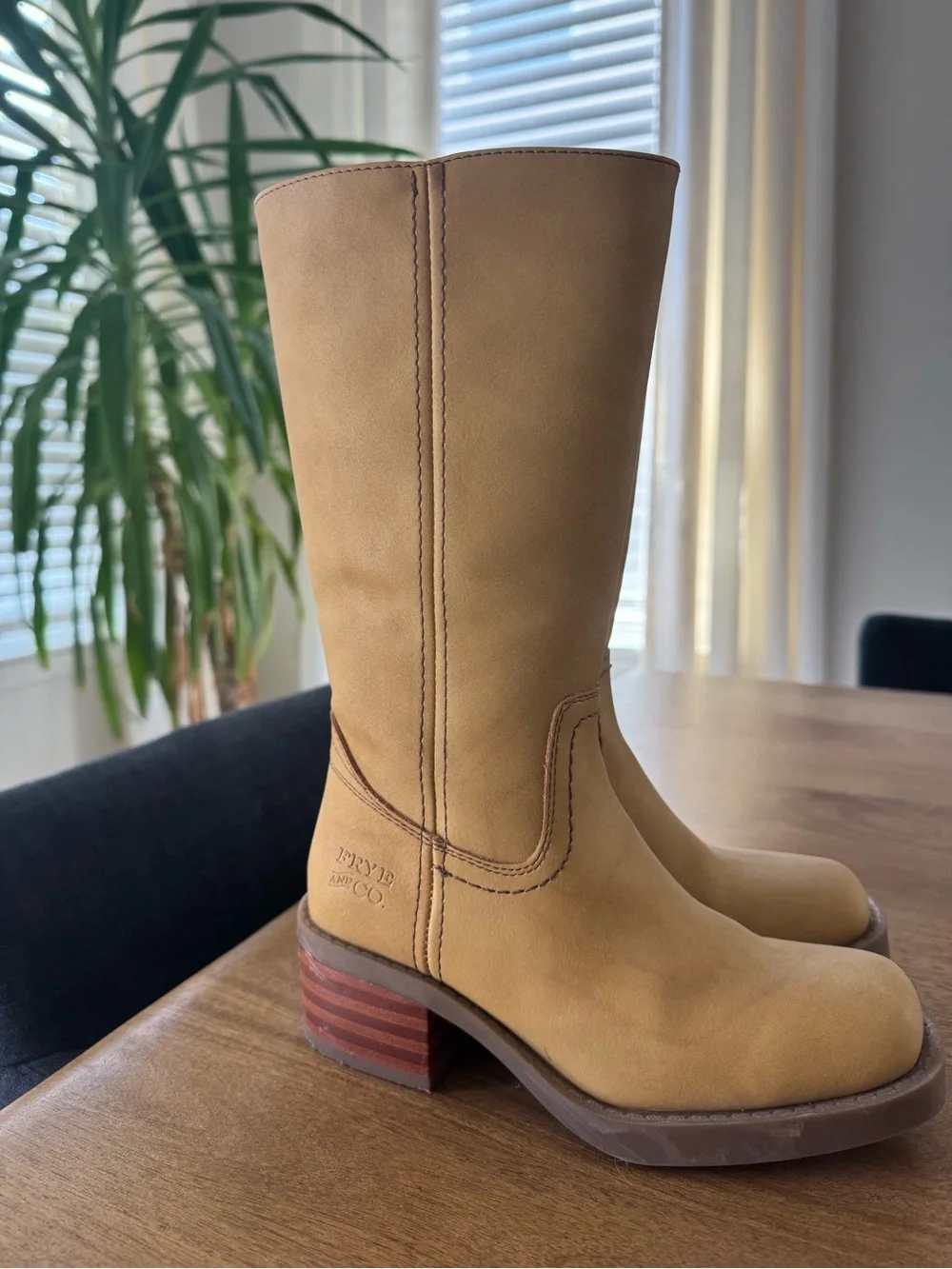FRYE AND CO. classic tall