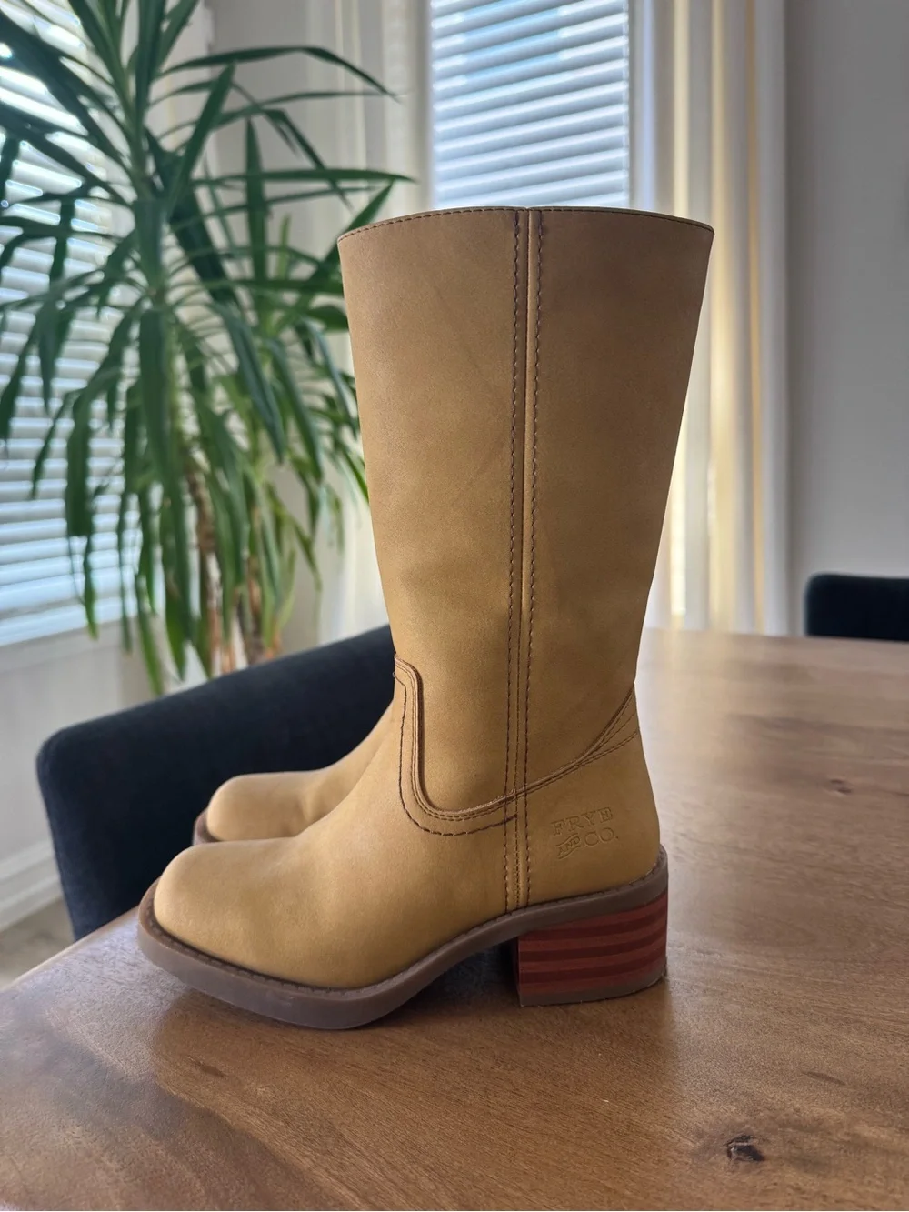 FRYE AND CO. classic tall