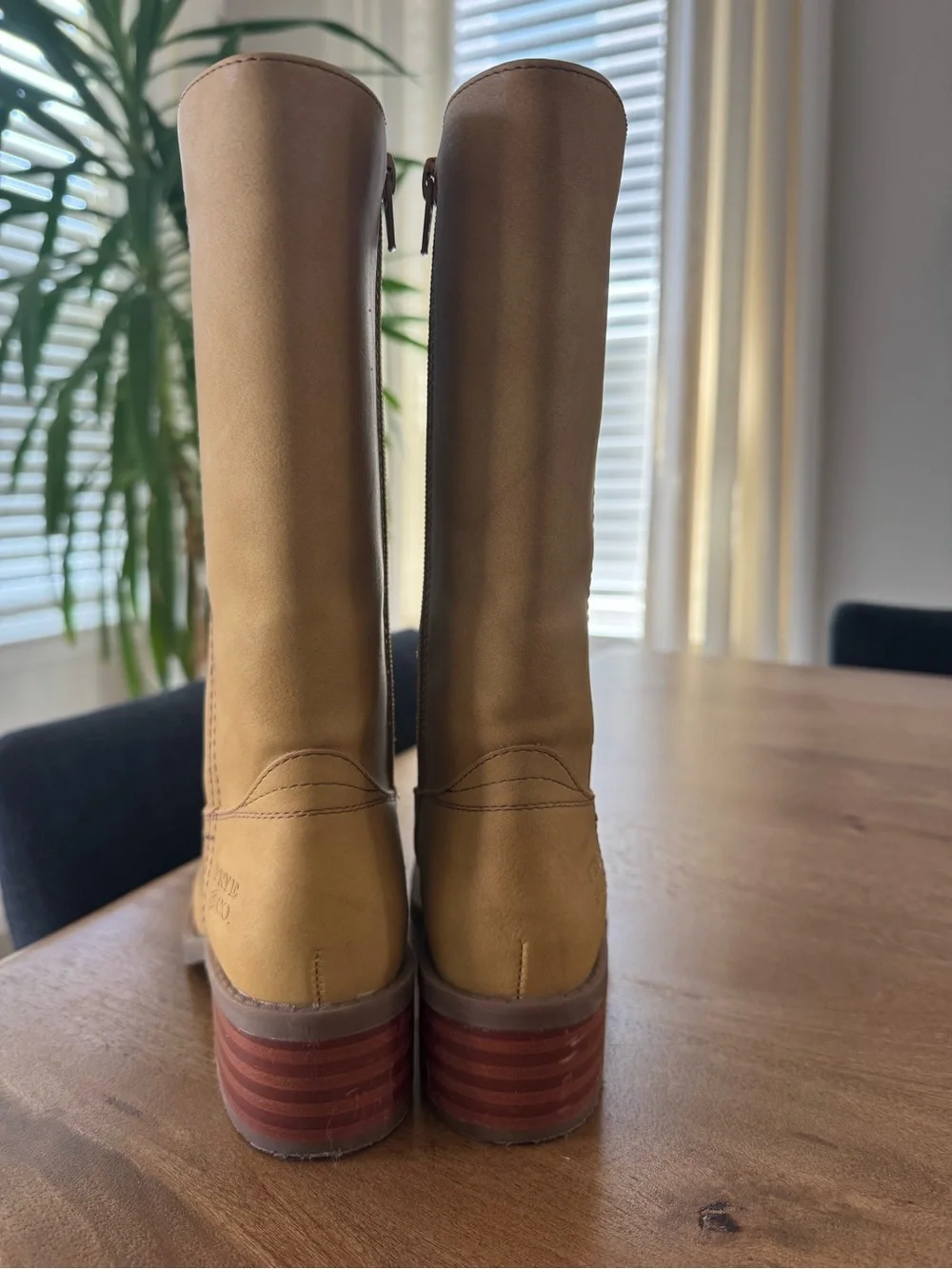 FRYE AND CO. classic tall
