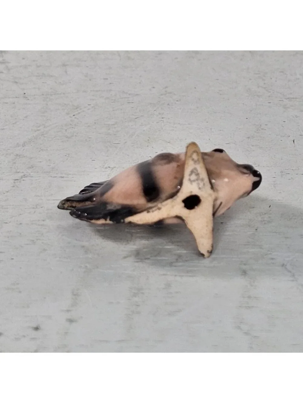 Hagen Renaker Flat Fish Miniature Figurine Pink Black *CHIPPED*
