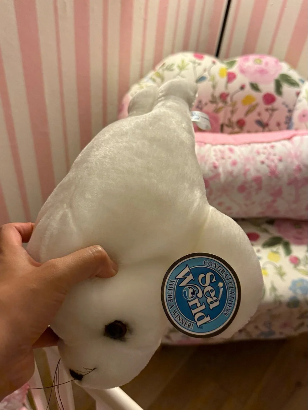 Seaworld soft white