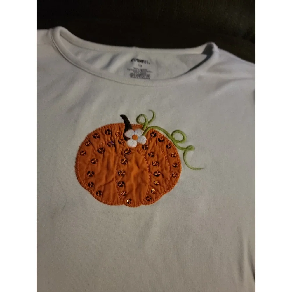 Gymboree Halloween fall pumpkin top size 10