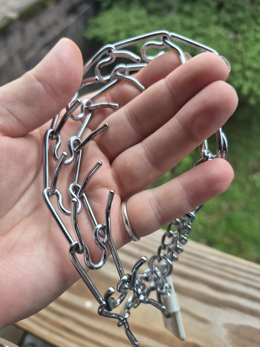 Hamilton Sterling Metal Prong Training Collar // Size Small