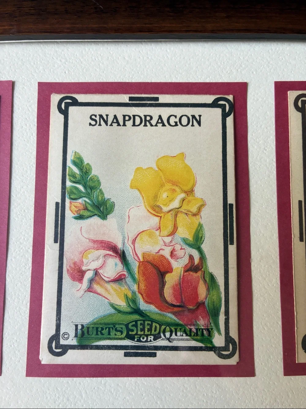 N/A garden bar