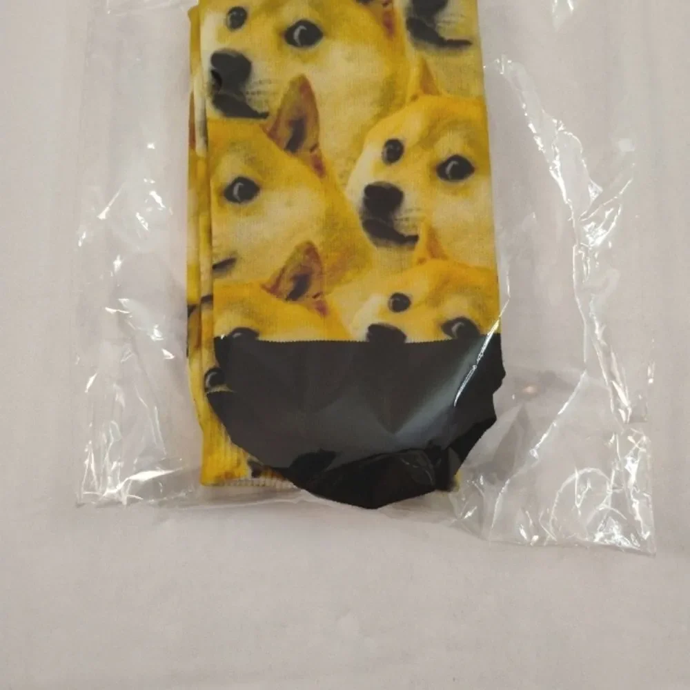 None shiba inu
