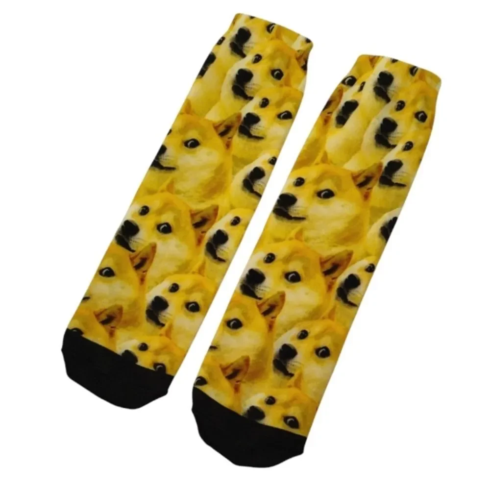 None shiba inu