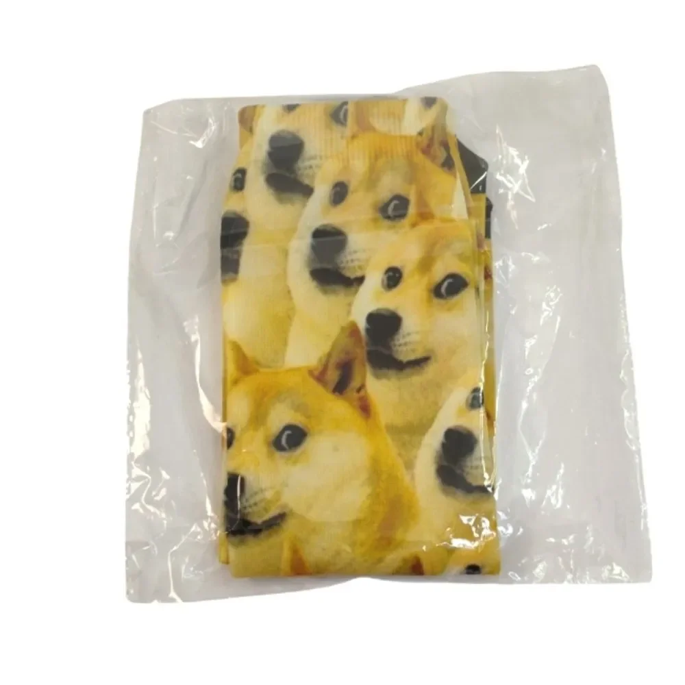 None shiba inu