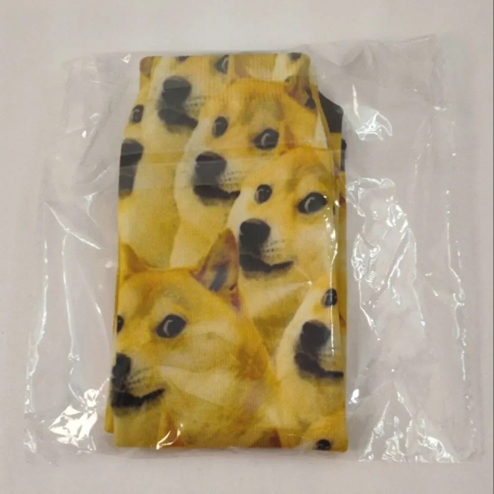 None shiba inu