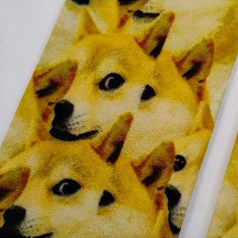 None shiba inu