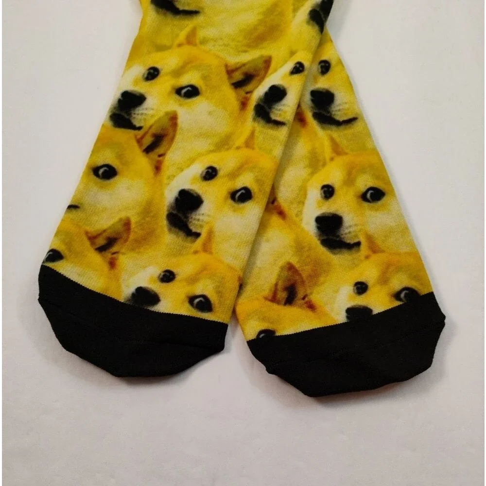 None shiba inu