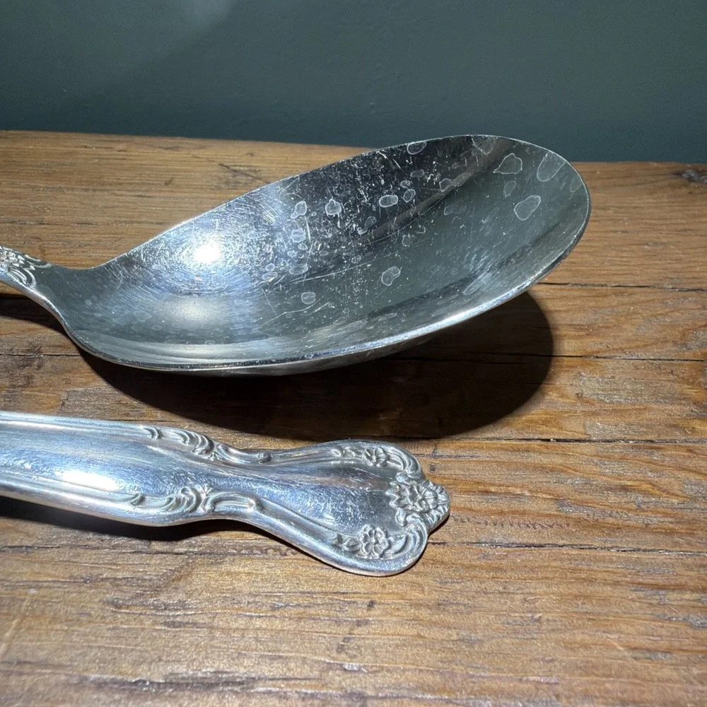 Rogers and Bros Silver Plate Serving Fork and Spoon Daybreak Elegant Lady Set 9