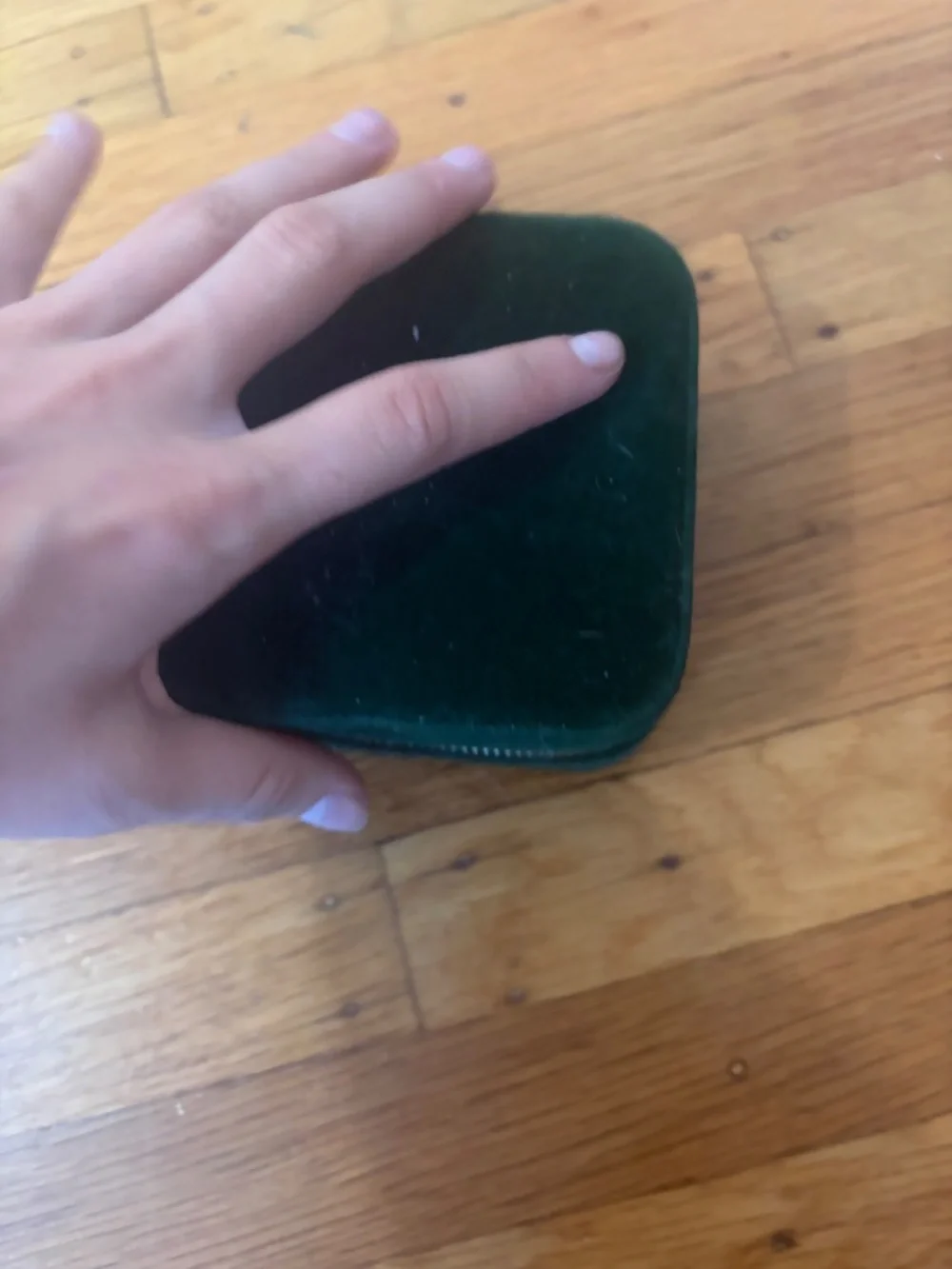 Mini Emerald Green Velvet Travel Jewelry Organizer Case w/ Mirror