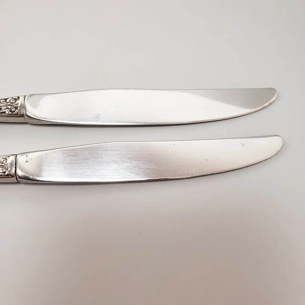 SSS Oneida Pembrooke Renoir 2 Dinner Butter Knives Stainless Silverware Flatware
