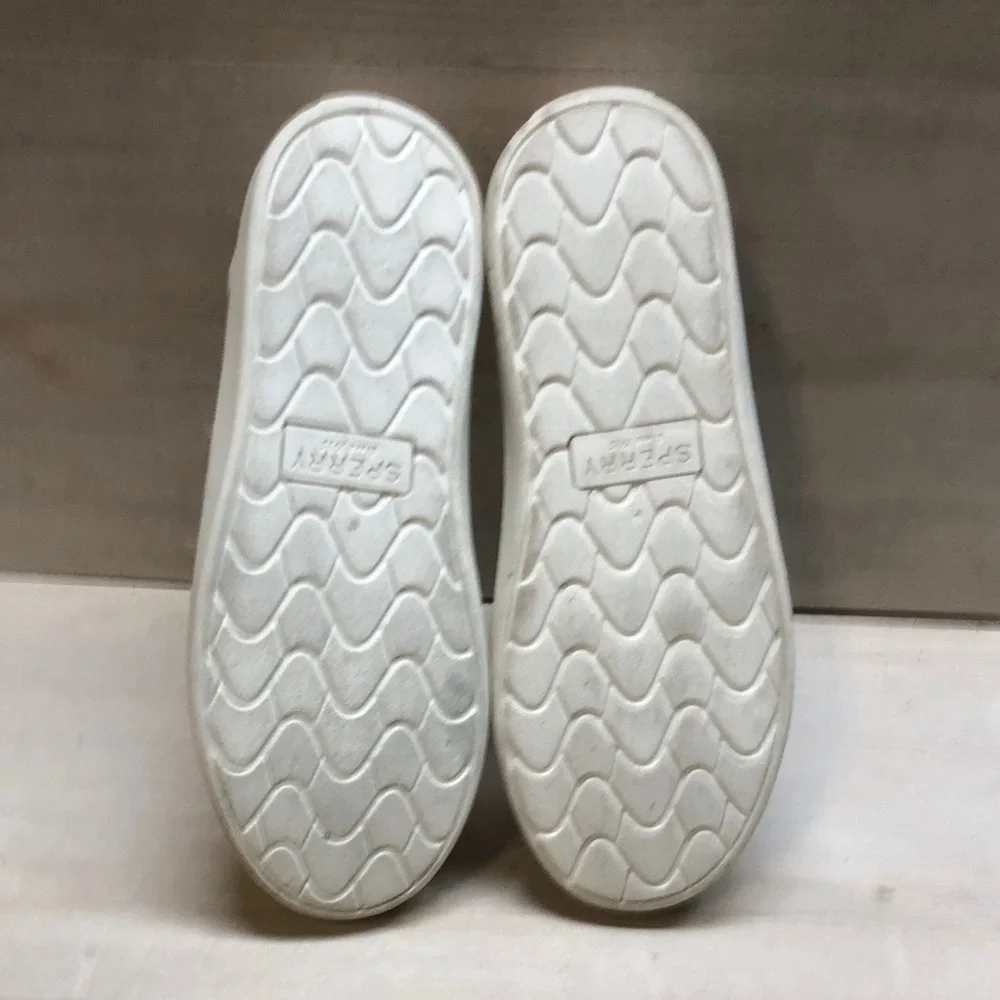 Sperry slip canvas
