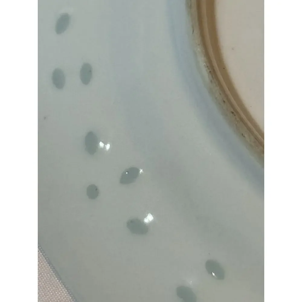 Vintage Chinese Rice Grain Porcelain Blue White Oval Serving Platter 15” Floral