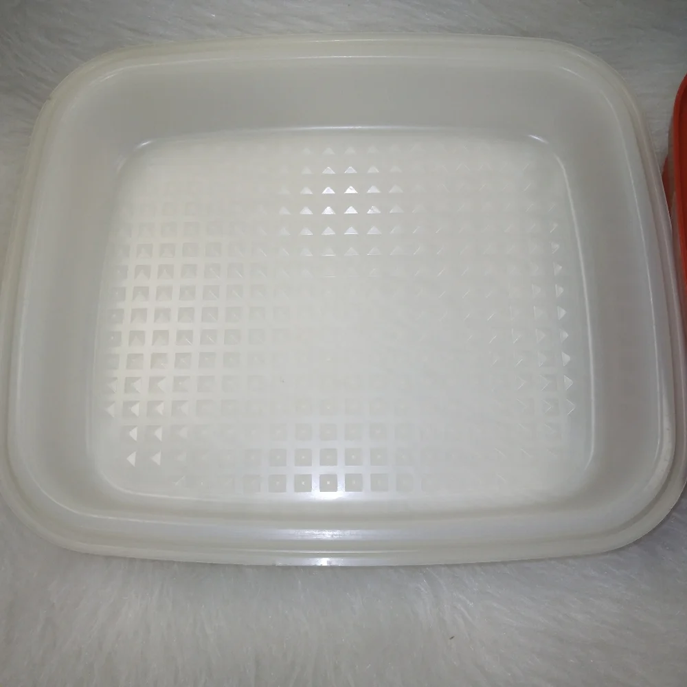 TUPPERWARE Large Season Serve Meat Marinator Container
