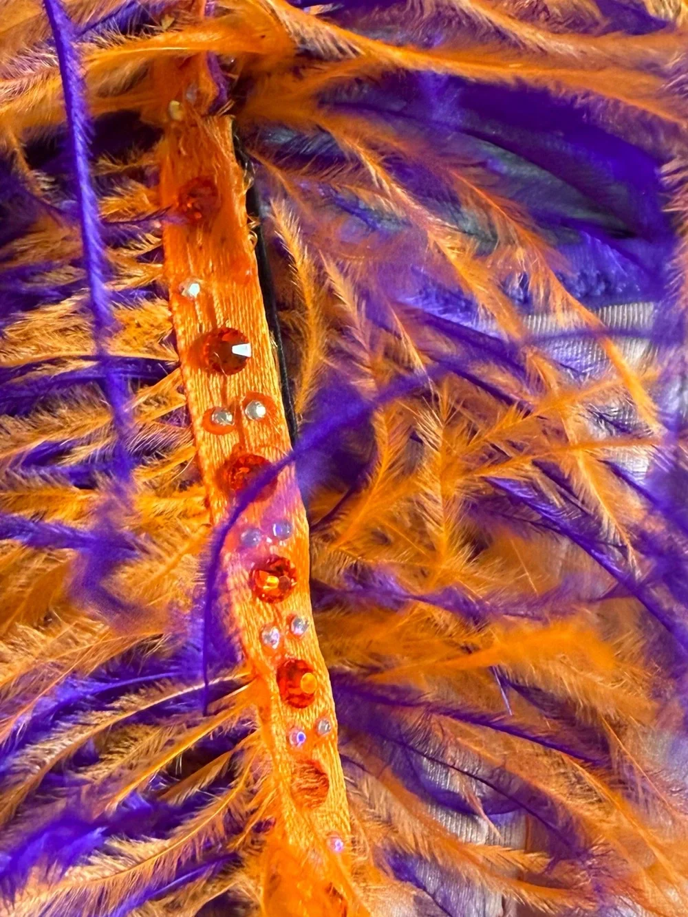 Baltogs vibrant purple