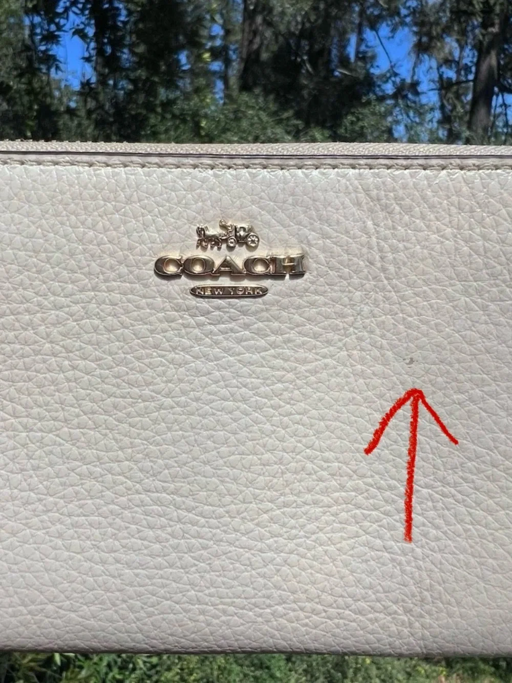 Coach accordion zip