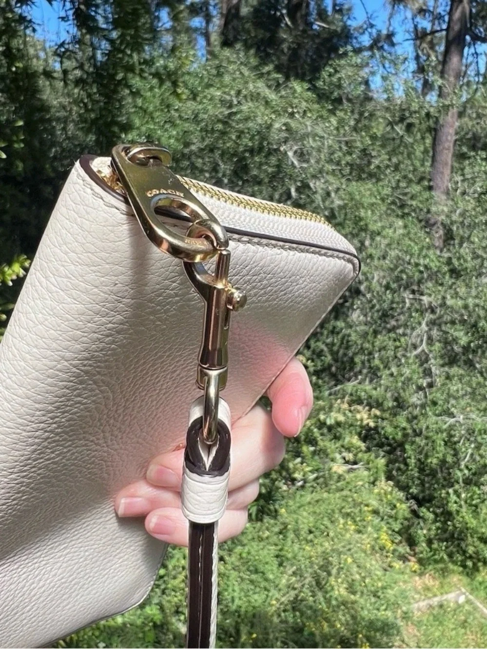 Coach accordion zip