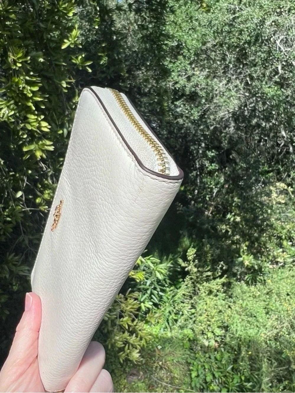 Coach accordion zip