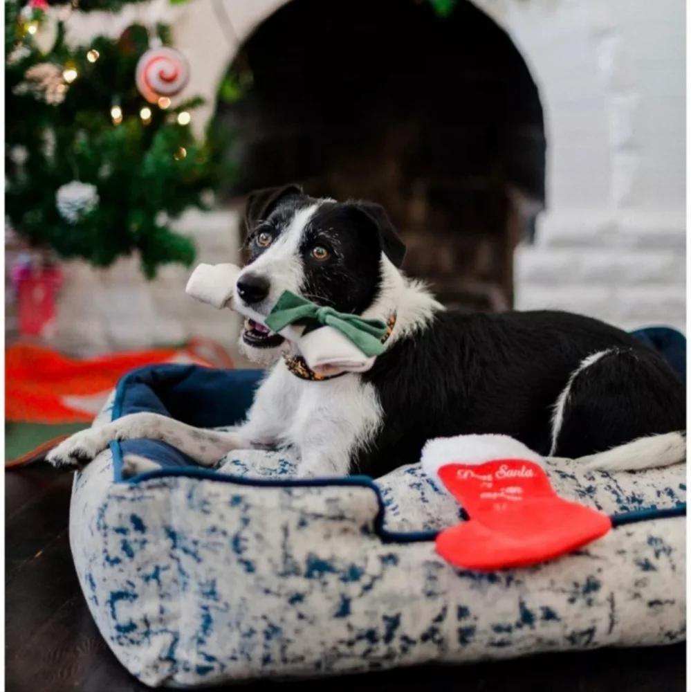 P.L.A.Y. bnwt merry