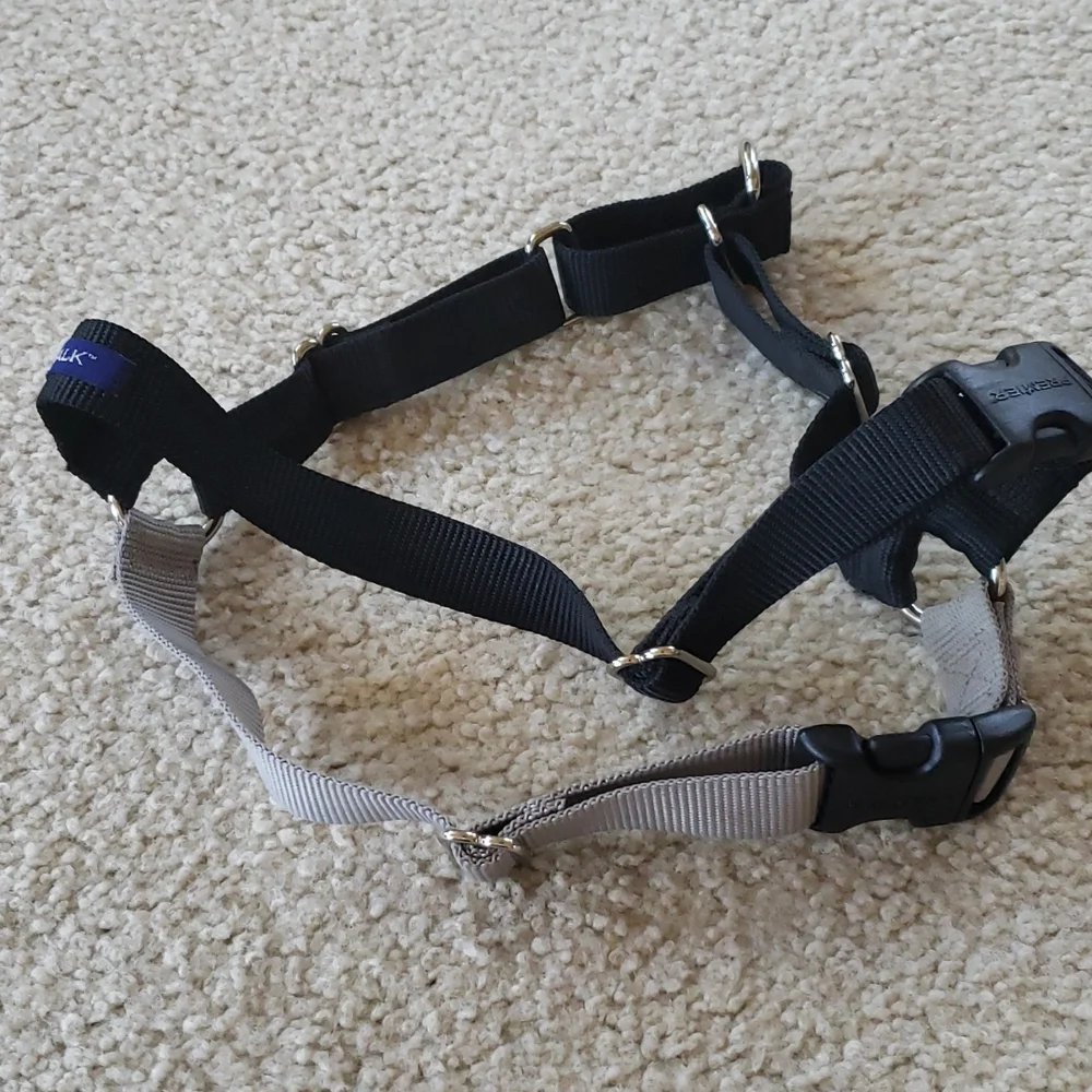 Pet Safe you don coverage