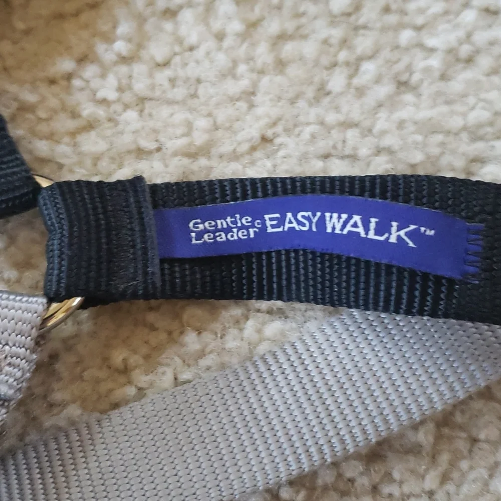 Pet Safe walks have