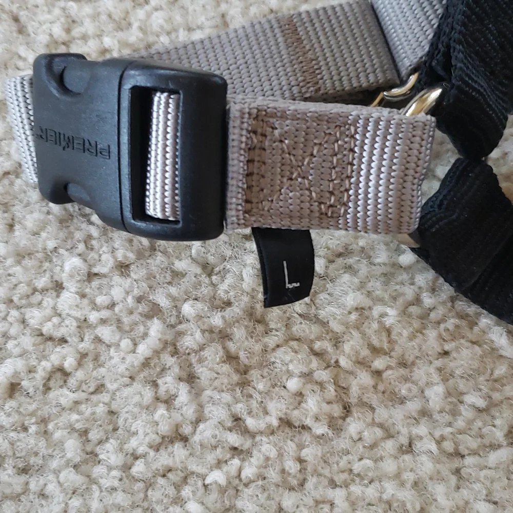 Pet Safe you dogs gagging