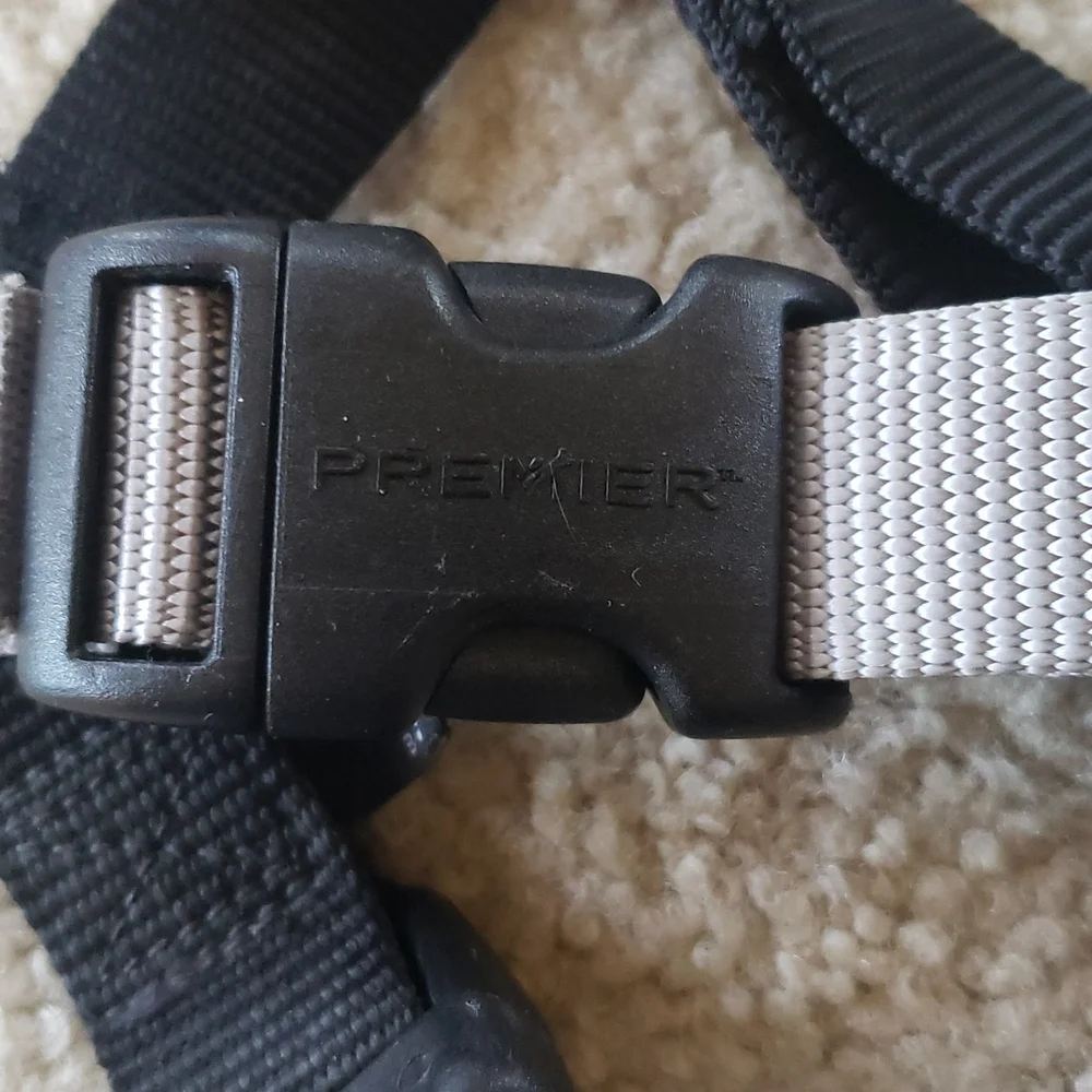 Pet Safe about rests walks