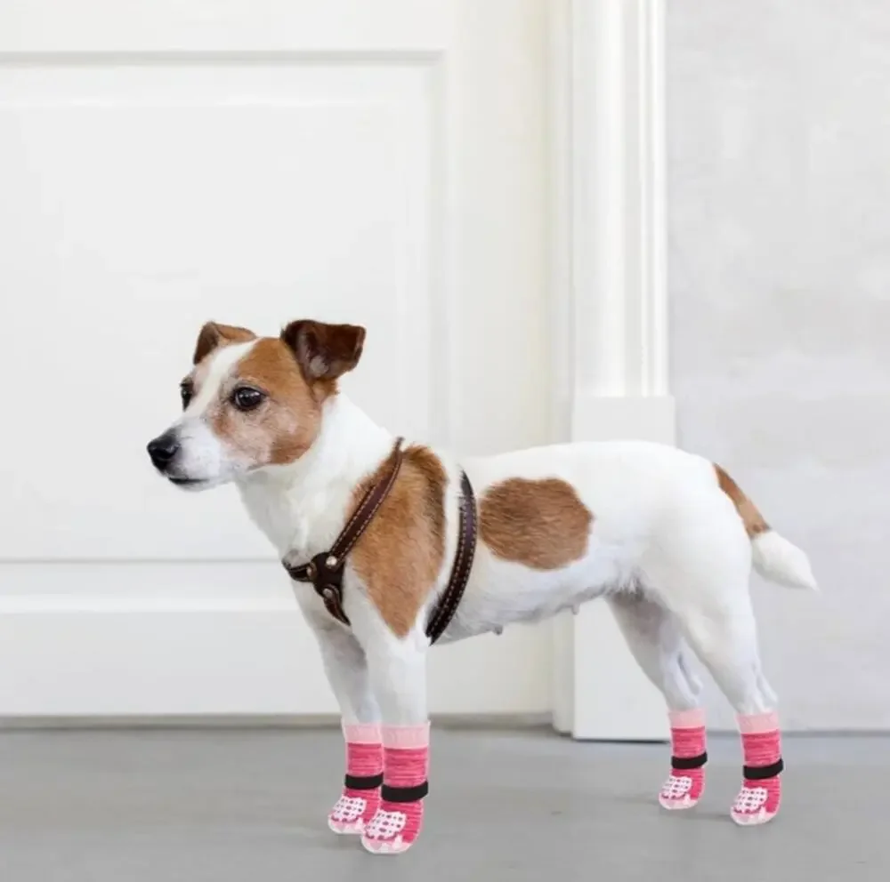 Pupteck Dog Socks Paw Protectors w/Grippers Color:Fuschia Size: XL