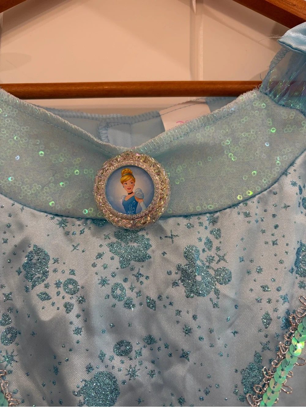 Disney Blue Cinderella Dress Costume for Kids