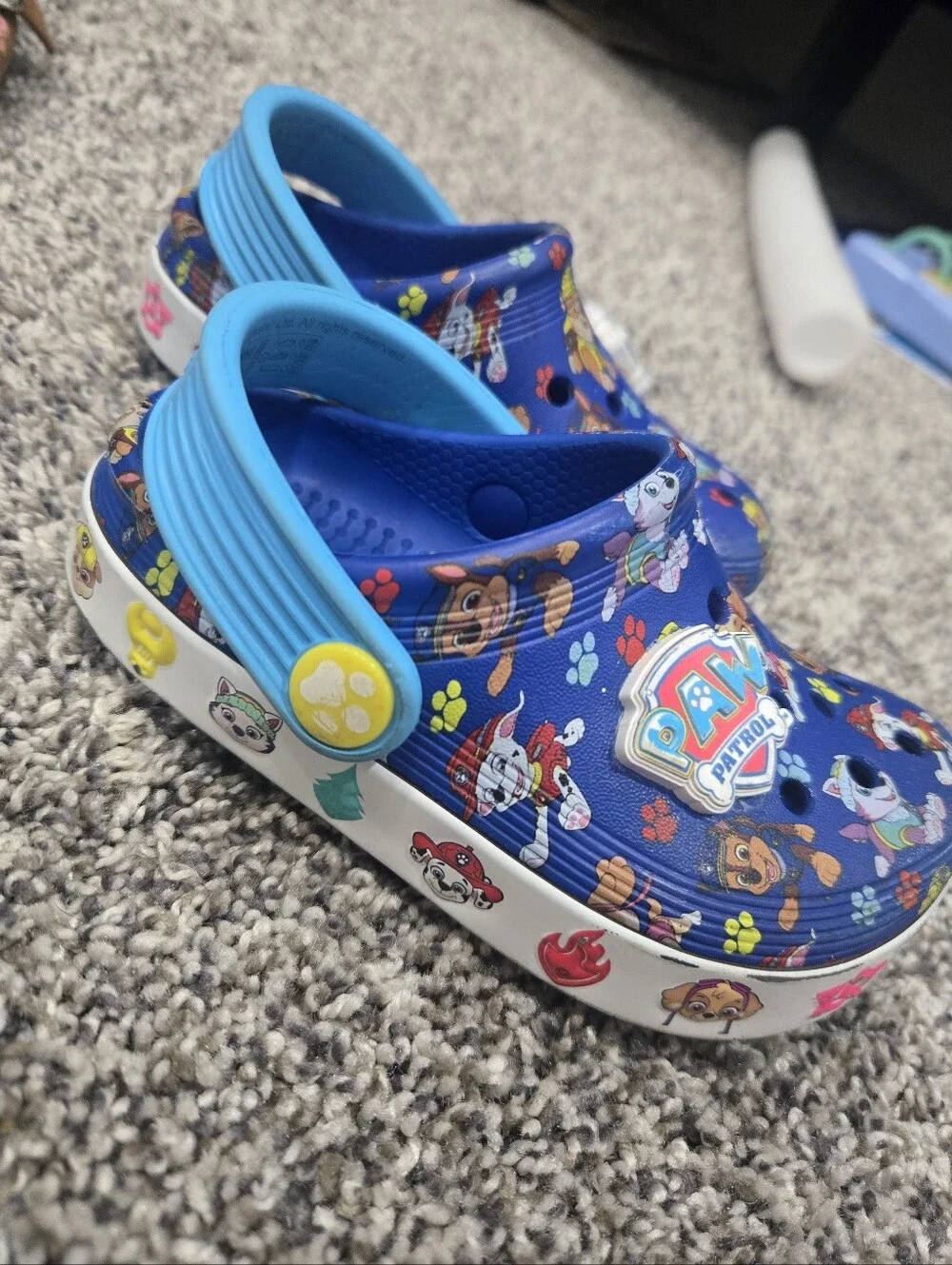 Paw Patrol official paw