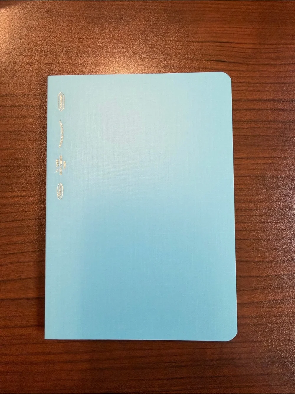 Light Blue Stalogy 1/2 year notebook A6