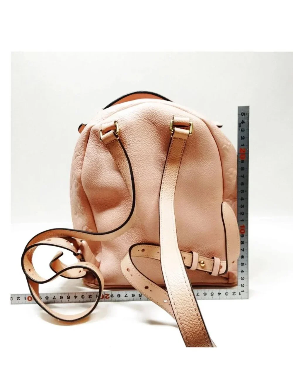 Louis Vuitton elegant louis