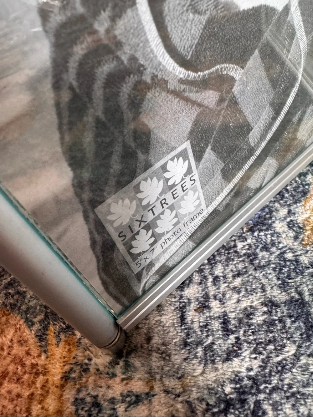 Sixtrees Home Accents Silver Double Folding Photo Frame