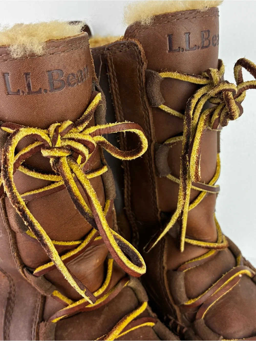 L.L. Bean bean “wicked