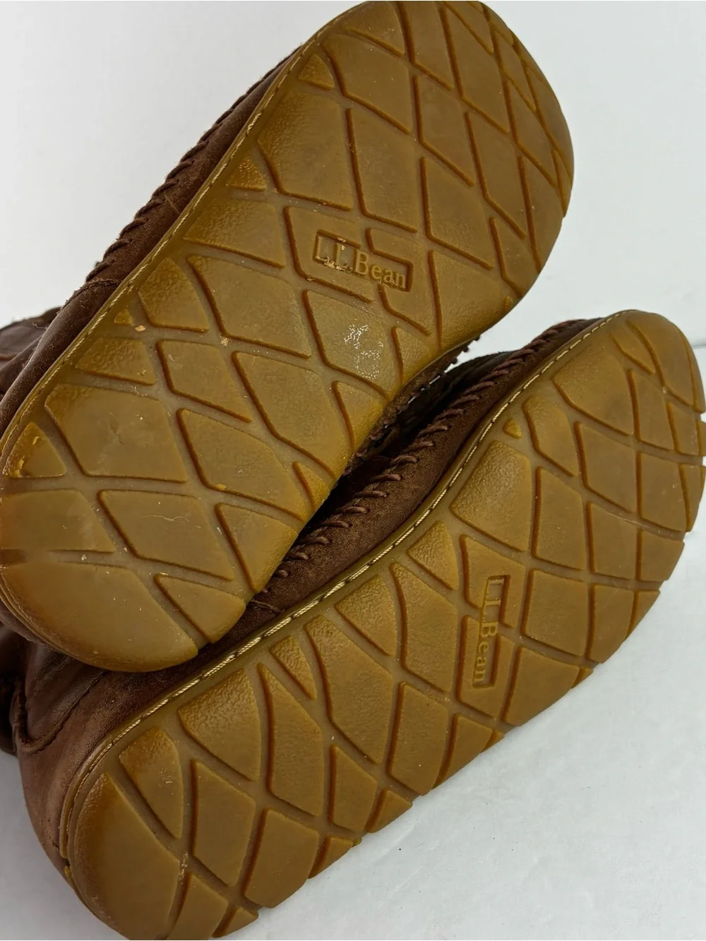 L.L. Bean bean “wicked