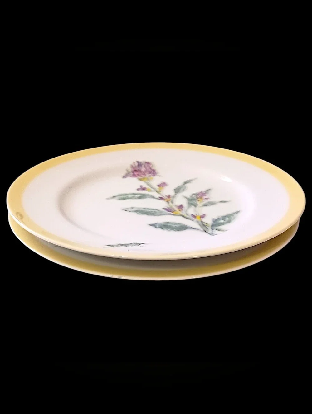 2 Williams Sonoma Flowering Herbs Salad Plates Purple Herb Flowers Grasshopper
