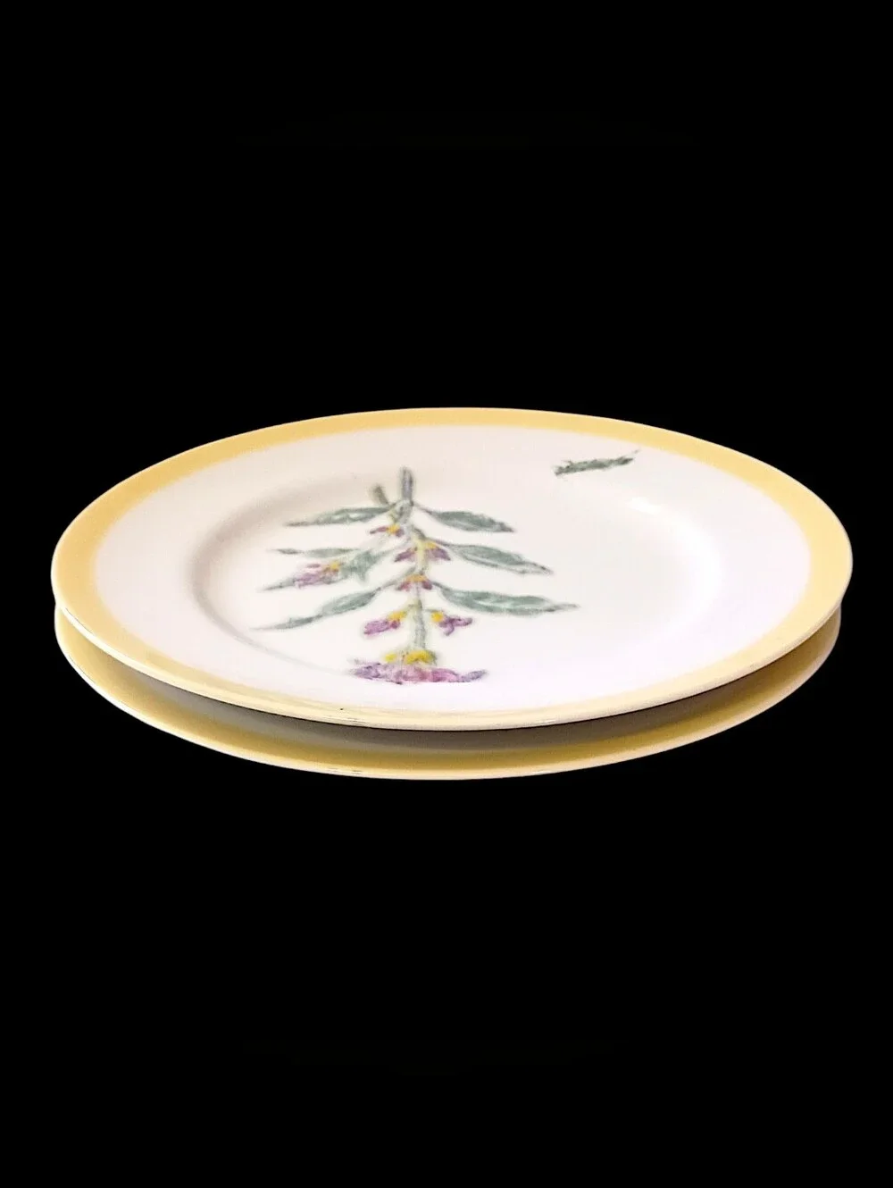2 Williams Sonoma Flowering Herbs Salad Plates Purple Herb Flowers Grasshopper