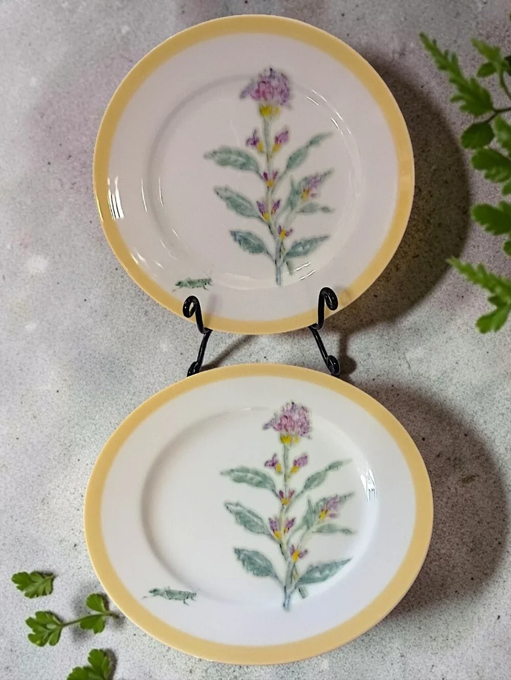 2 Williams Sonoma Flowering Herbs Salad Plates Purple Herb Flowers Grasshopper