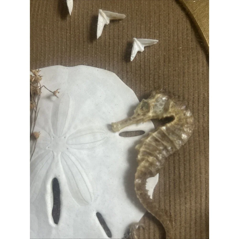 Unbranded vintage shadowbox