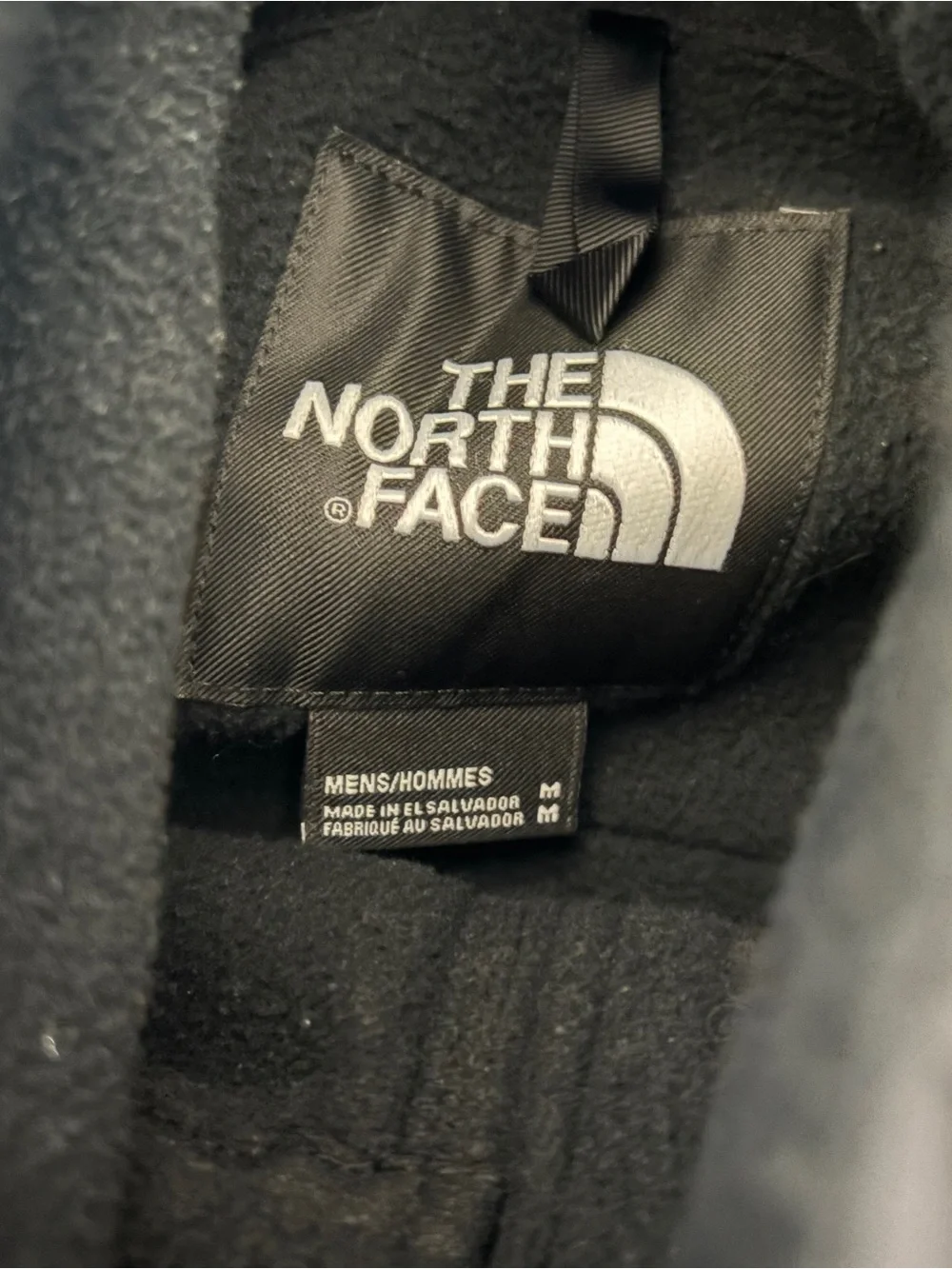 The North Face hooded fleece