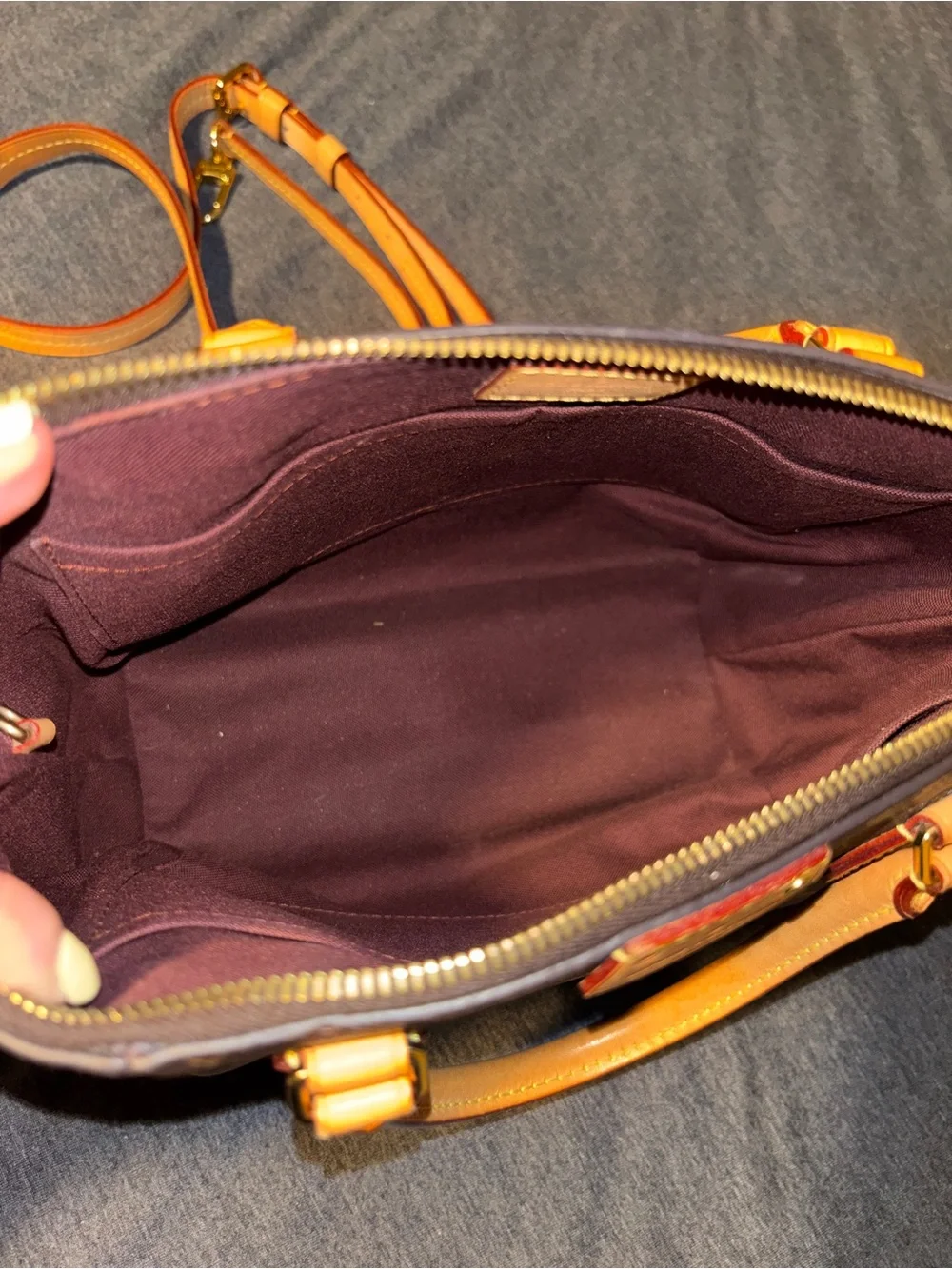Louis Vuitton iconic louis